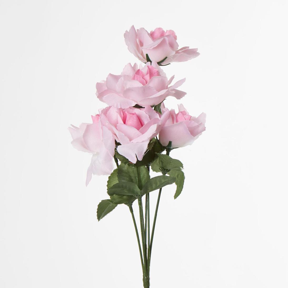 Rose Bush Asstd AB Box of 60 30 pcs