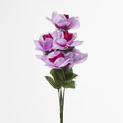 Rose Bush Asstd AB Box of 60 30 pcs