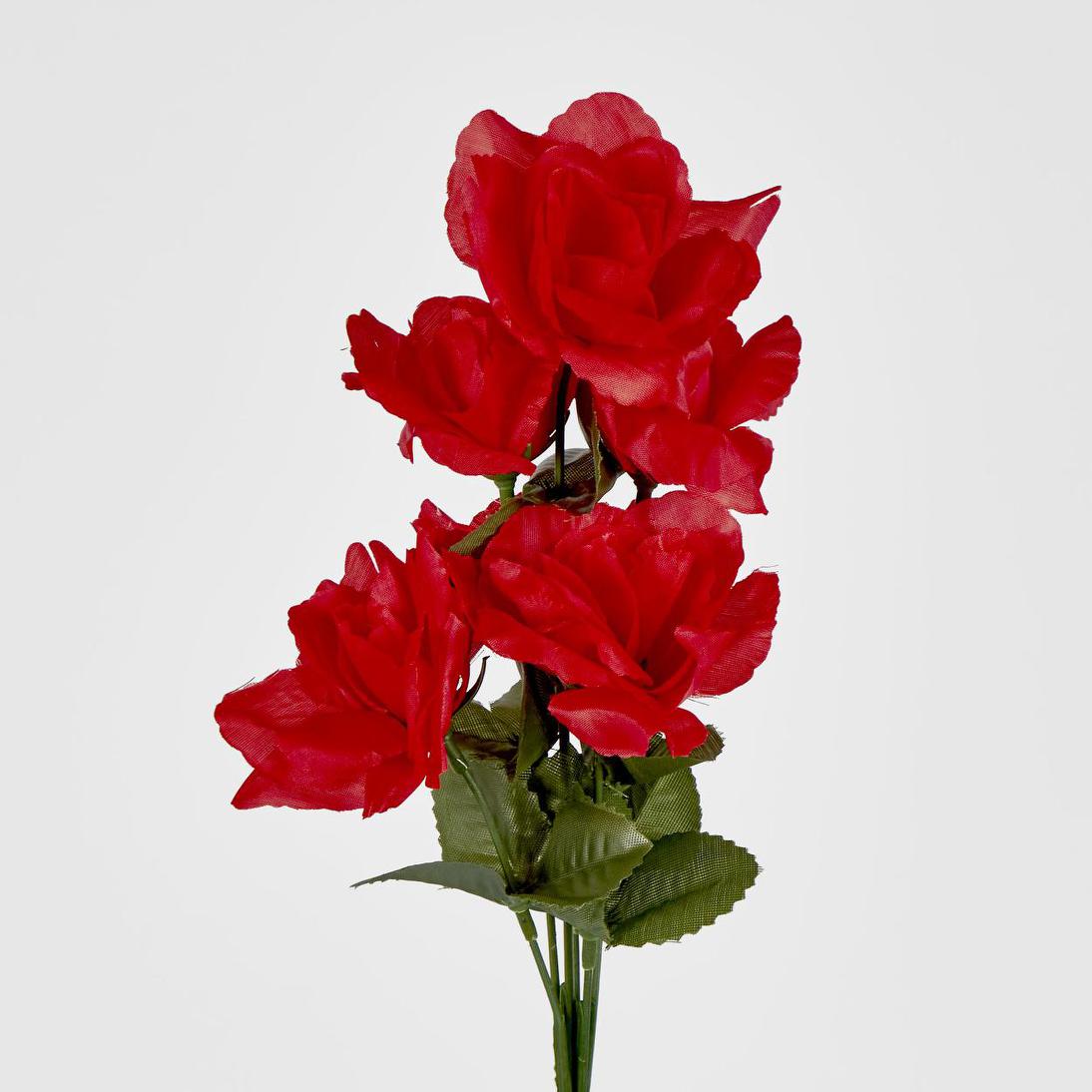 Rose Bush Asstd B Box of 60 30 pcs