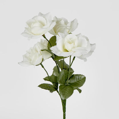 Rose Bush Asstd B Box of 60 30 pcs