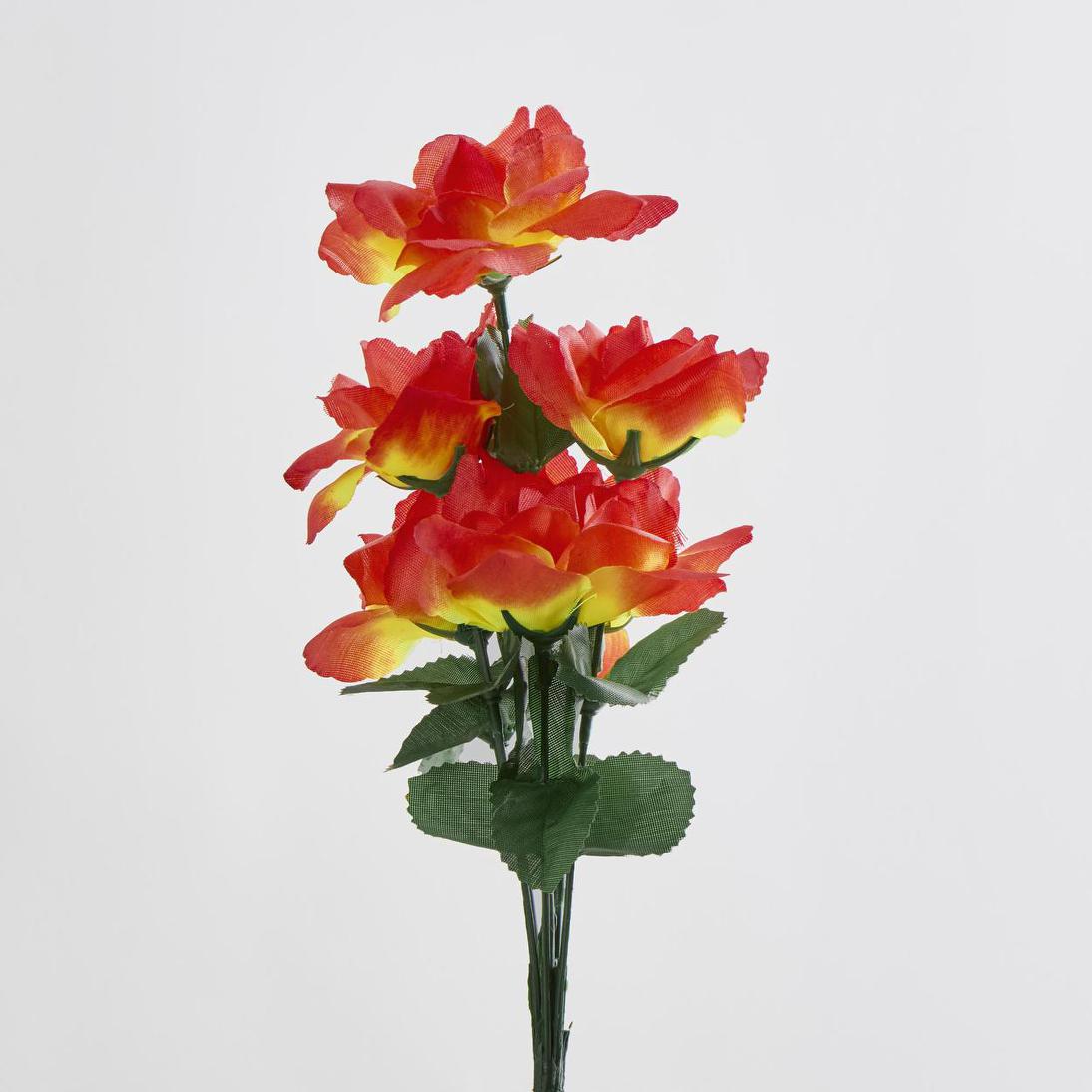 Rose Bush Asstd C Box of 60 30 pcs
