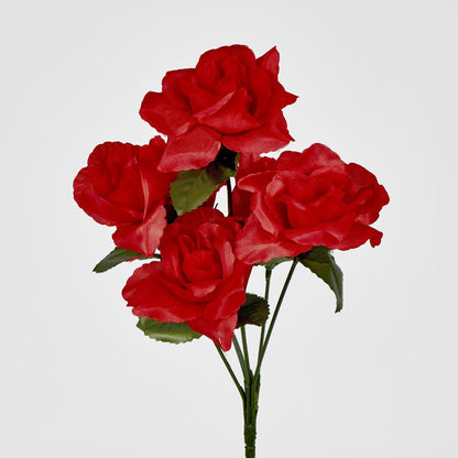Rose Bush Asstd E Box of 60 30 pcs