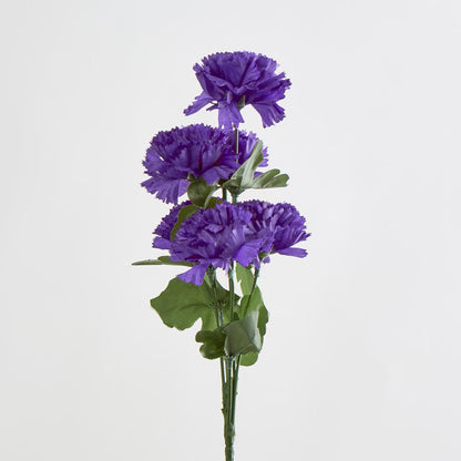 Carnation Bush Asstd Box of 60 30 pcs