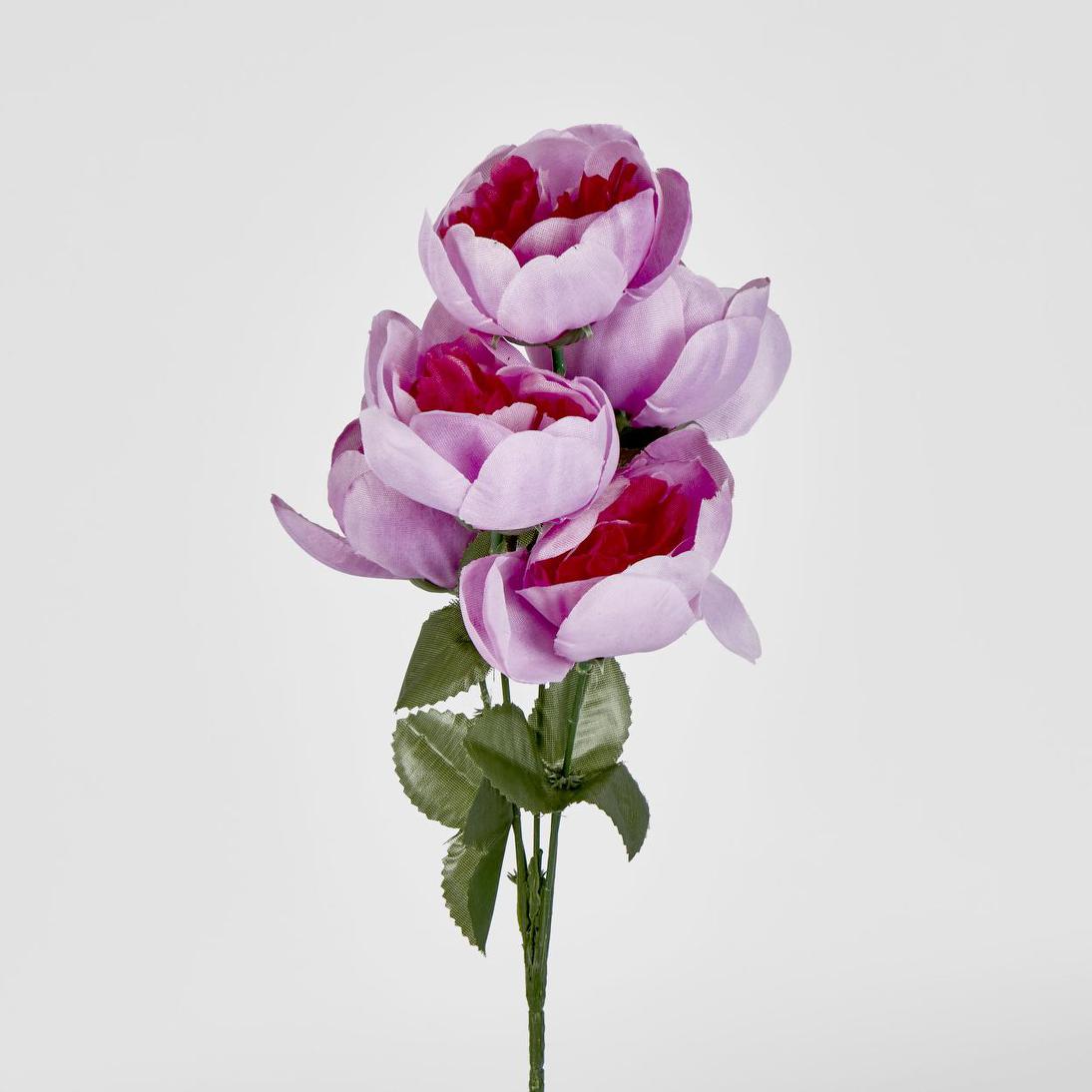 Peony Bush Asstd Box of 60 30 pcs