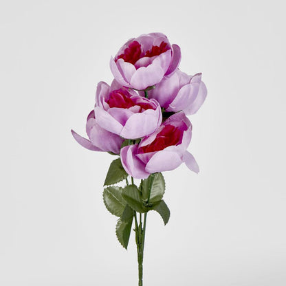 Peony Bush Asstd Box of 60 30 pcs