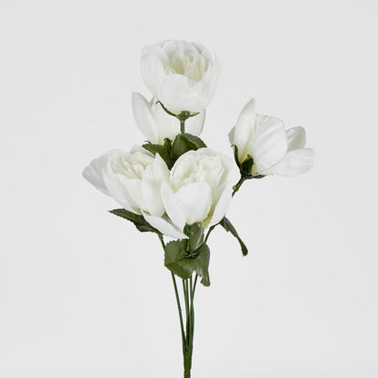 Peony Bush Asstd Box of 60 30 pcs