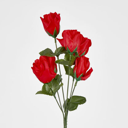 Rosebud Bush Asstd E Box of 60 30 pcs