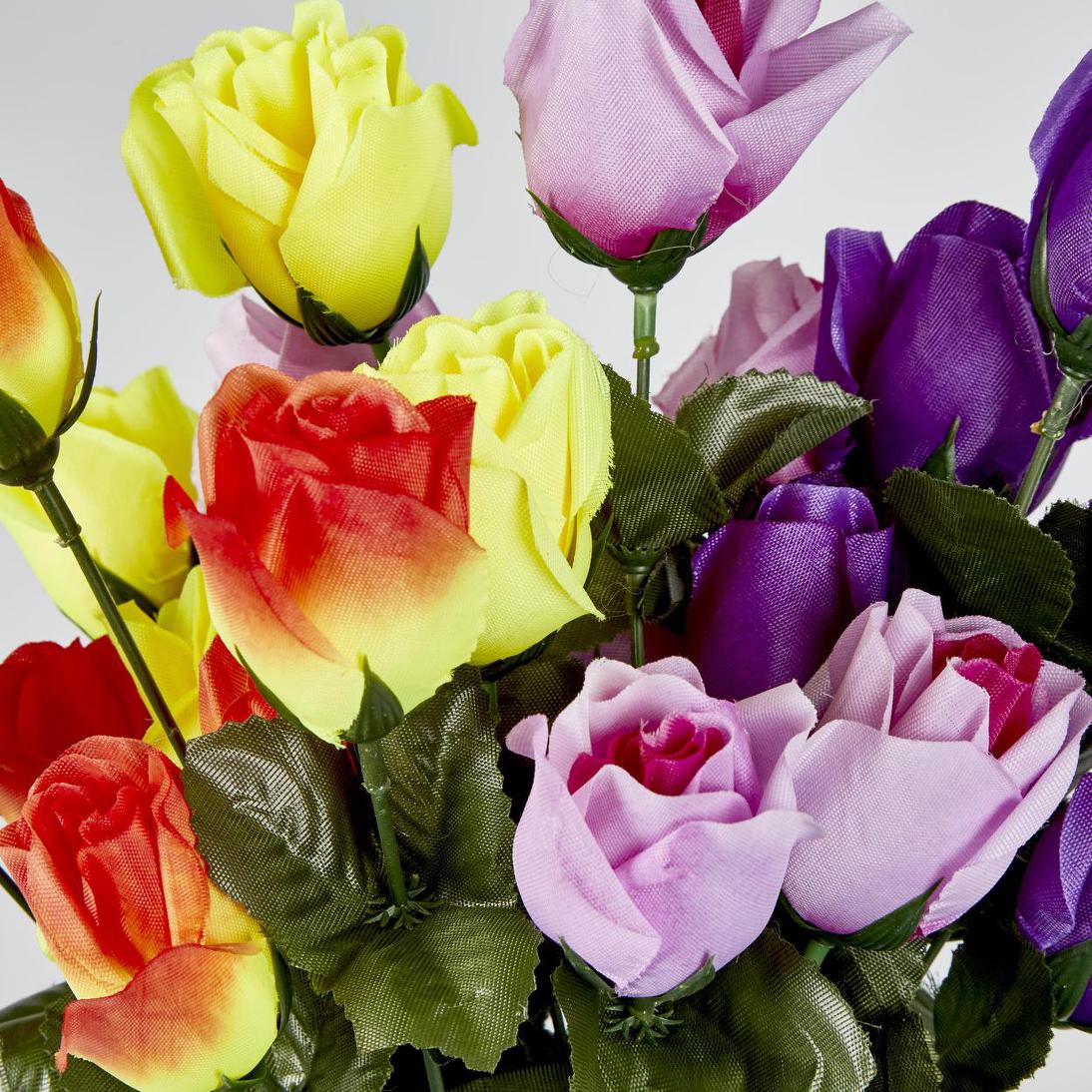 Rosebud Bush Multi Box of 60 30 pcs