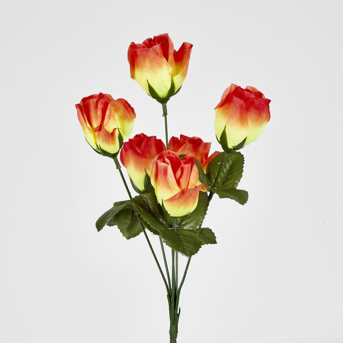 Rosebud Bush Multi Box of 60 30 pcs