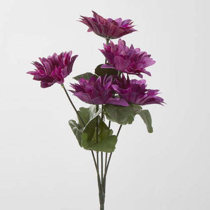 Gerbera Bush Dark Box of 60 30 pcs
