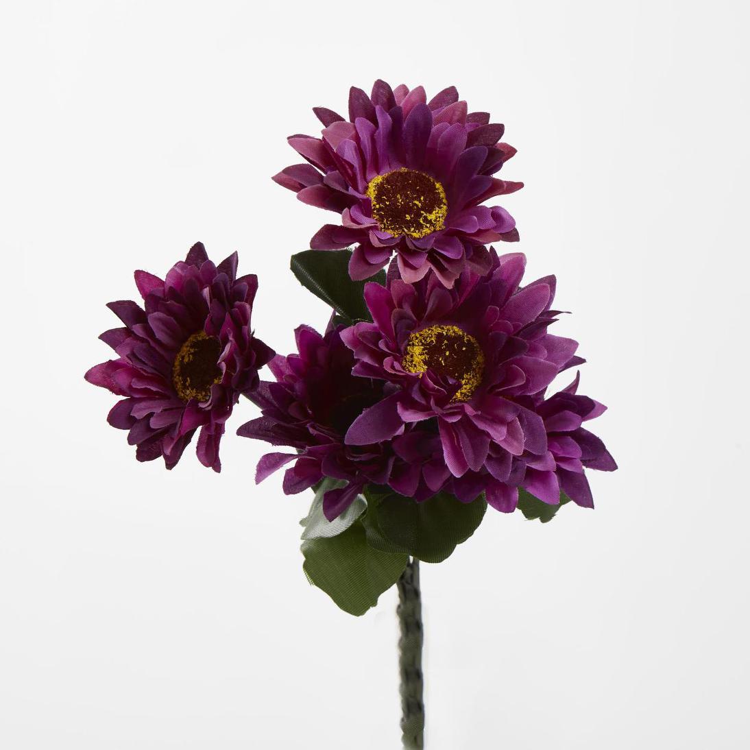 Gerbera Bush Dark Box of 60 30 pcs