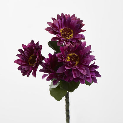 Gerbera Bush Dark Box of 60 30 pcs