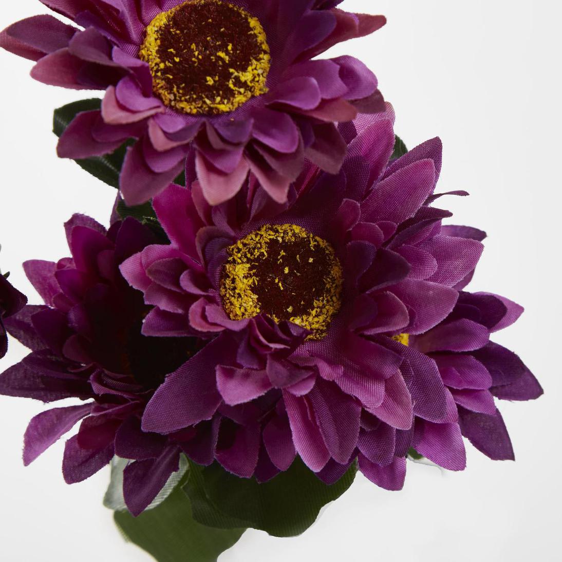 Gerbera Bush Dark Box of 60 30 pcs