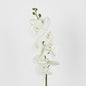 Moth Phalaenopsis Orchid Spray White 6 pcs