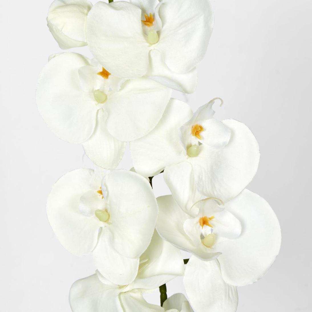 Moth Phalaenopsis Orchid Spray White 6 pcs