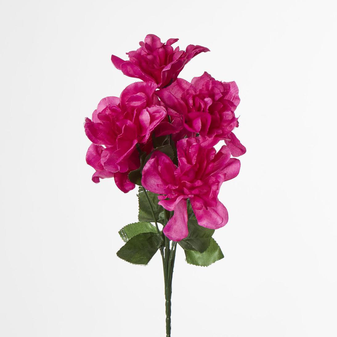 Dahlia Bush 50cm Asstd Box Qty Only 30 pcs