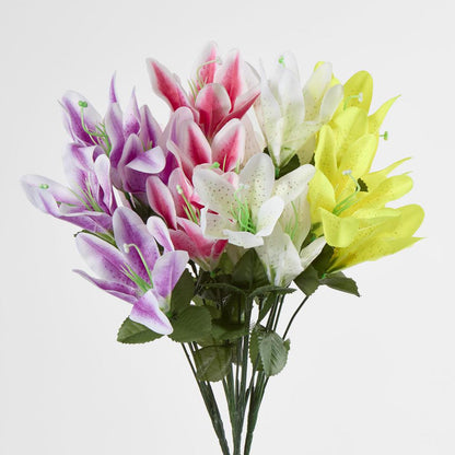 Tiger Lily Bush 4 Colours Box of 60 30 pcs