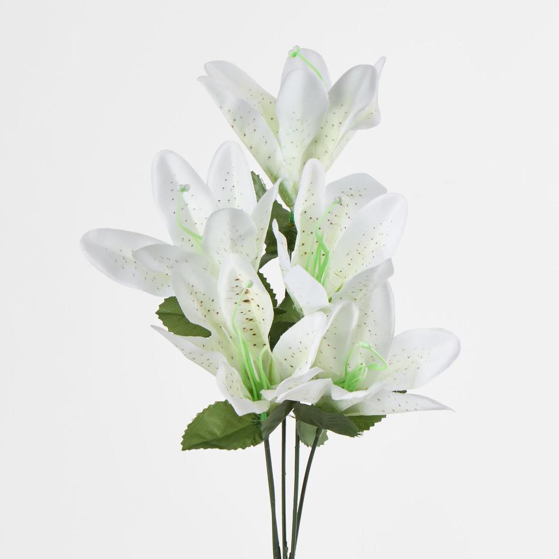 Tiger Lily Bush 4 Colours Box of 60 30 pcs