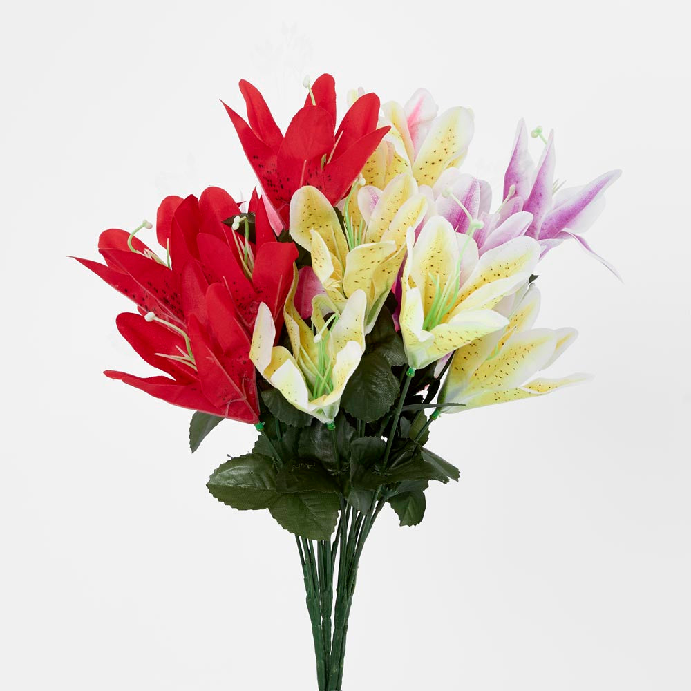 Tiger Lily Bush Asstd Colours Box of 60 30 pcs