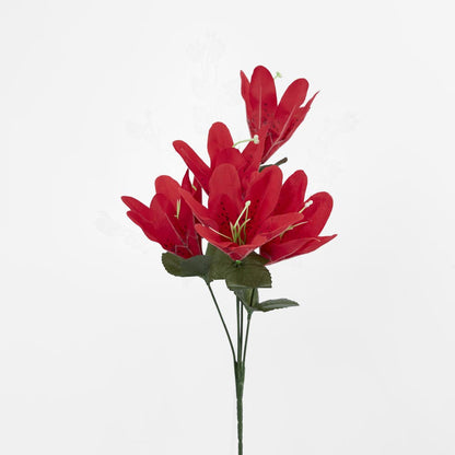 Tiger Lily Bush Asstd Colours Box of 60 30 pcs