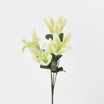 Tiger Lily Bush Asstd Colours Box of 60 30 pcs