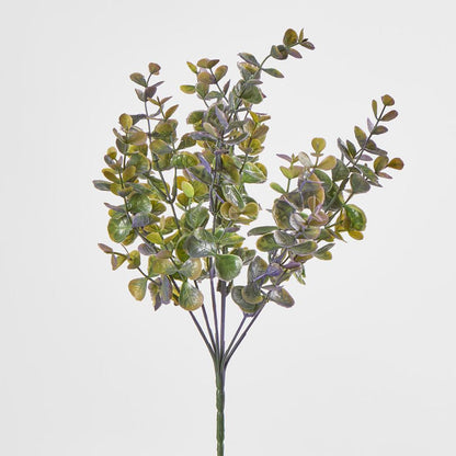Eucalyptus Bush Purple 6 pcs