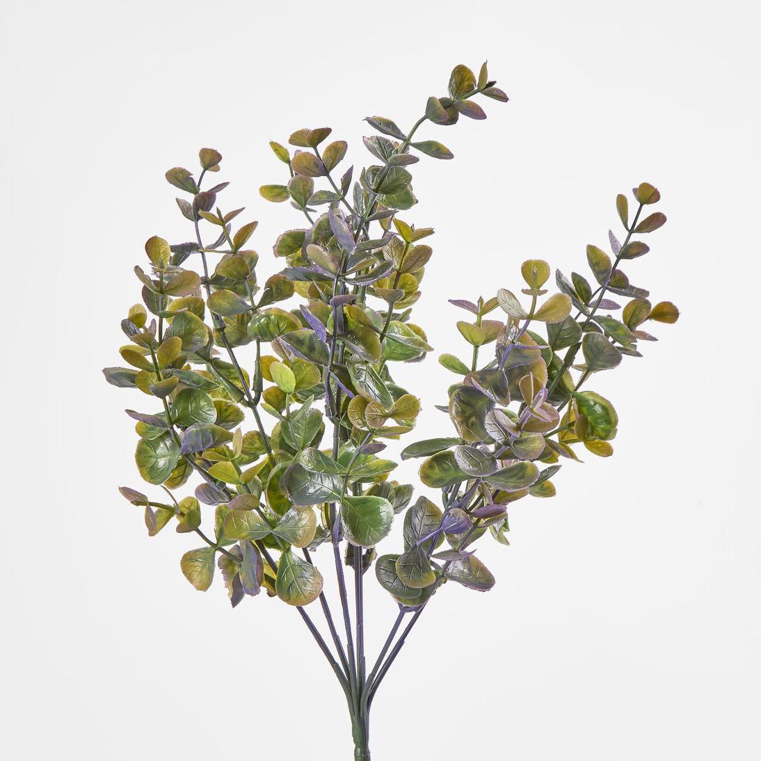 Eucalyptus Bush Purple 6 pcs