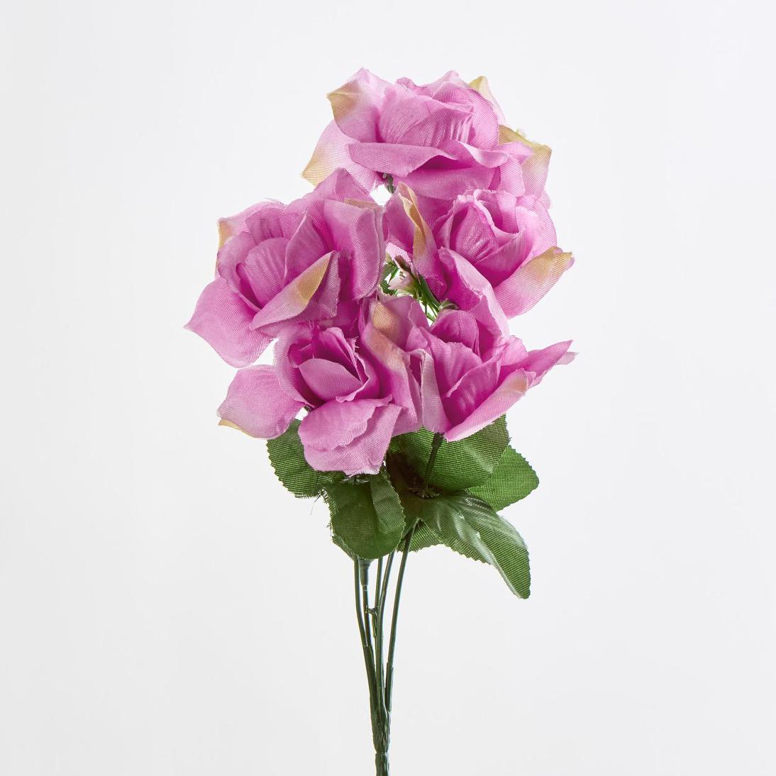 Rose Bush C Asstd Box of 60 30 pcs