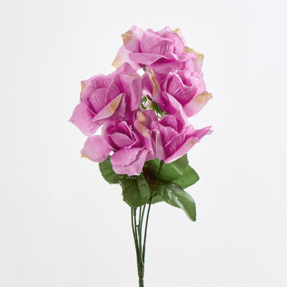 Rose Bush C Asstd Box of 60 30 pcs