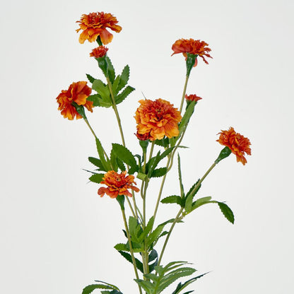Marigold Spray Orange 6 pcs