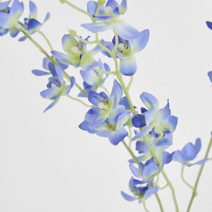 Dendrobium Spray Blue 6 pcs