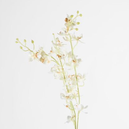 Dendrobium Spray White 6 pcs