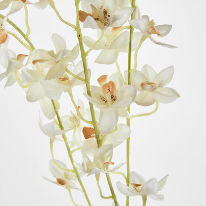 Dendrobium Spray White 6 pcs