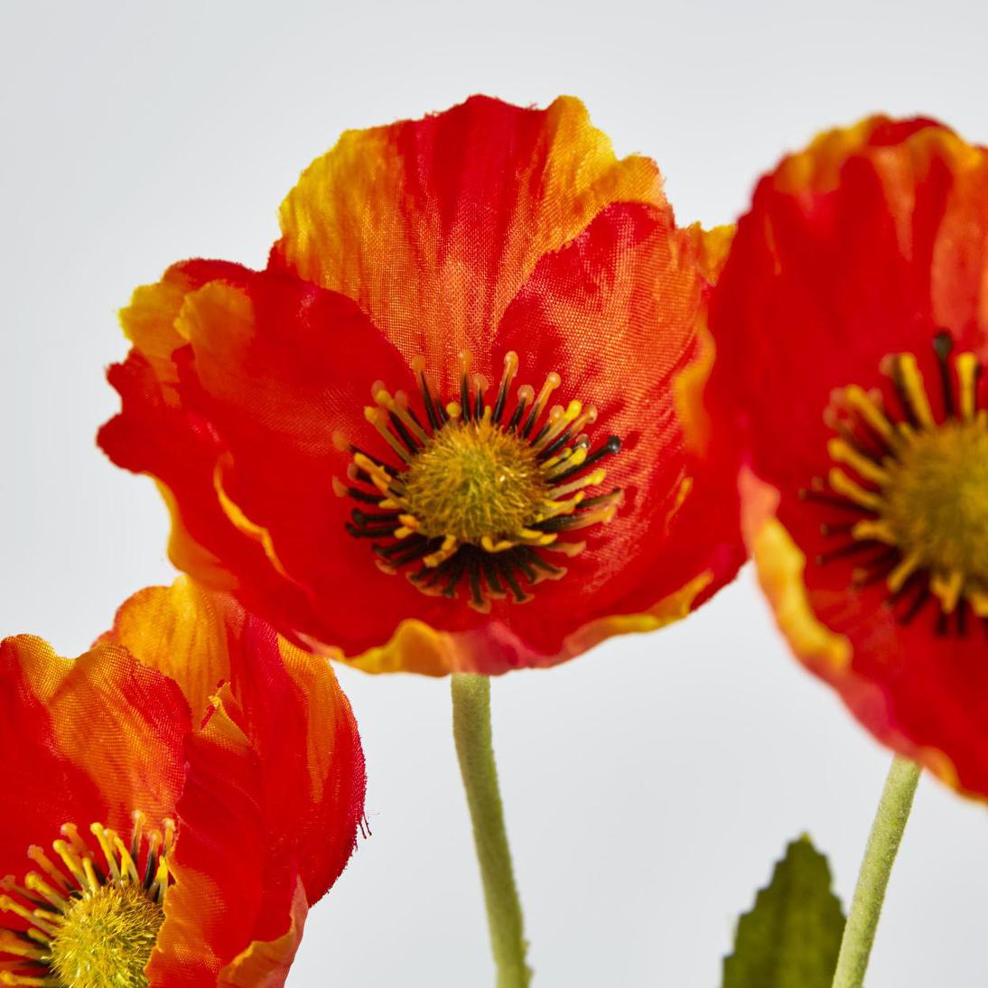 Mini Poppy Spray Orange 18 pcs