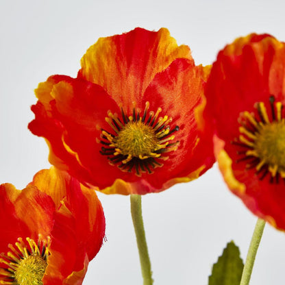 Mini Poppy Spray Orange 18 pcs