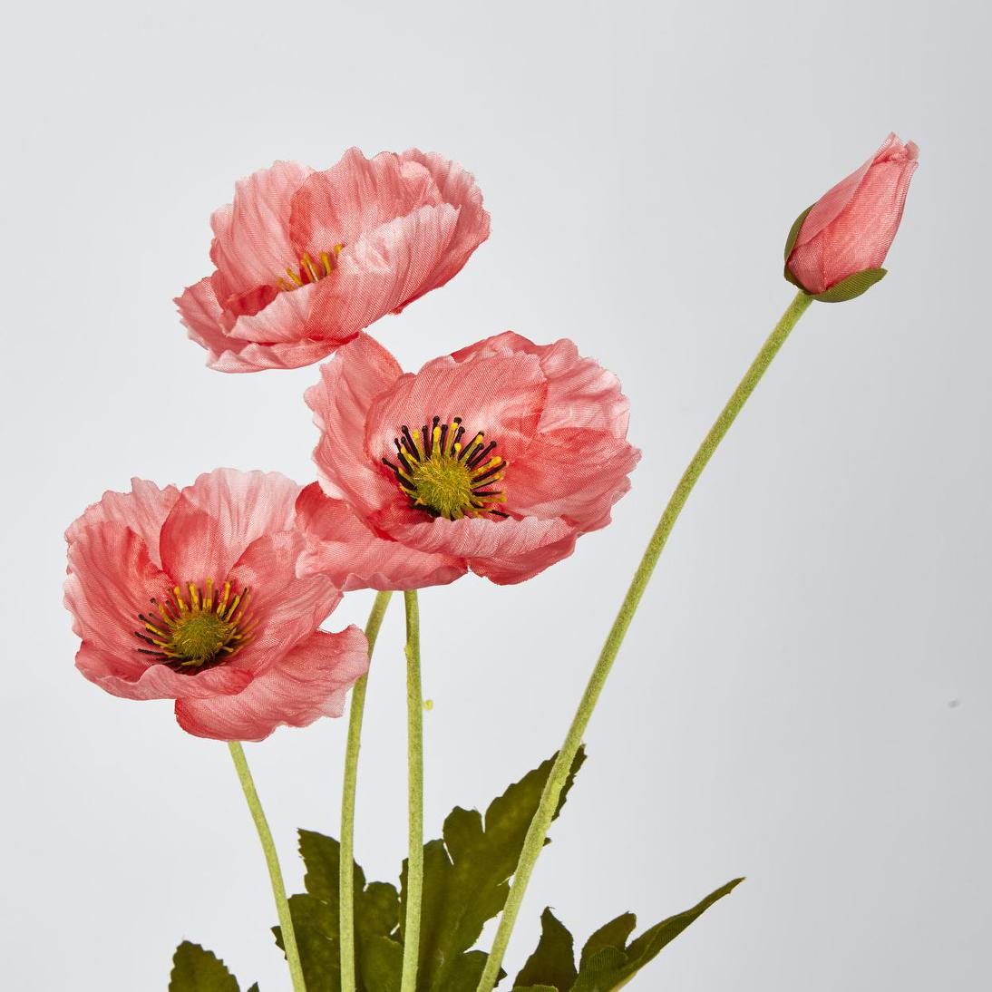 Mini Poppy Spray Pink 18 pcs