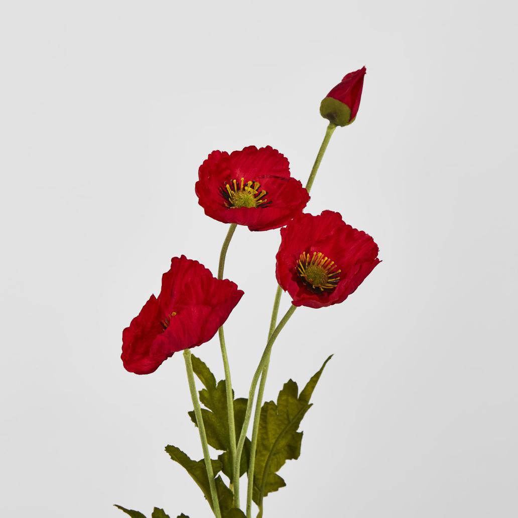 Mini Poppy Spray Red 18 pcs