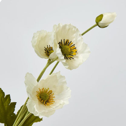 Mini Poppy Spray White 18 pcs