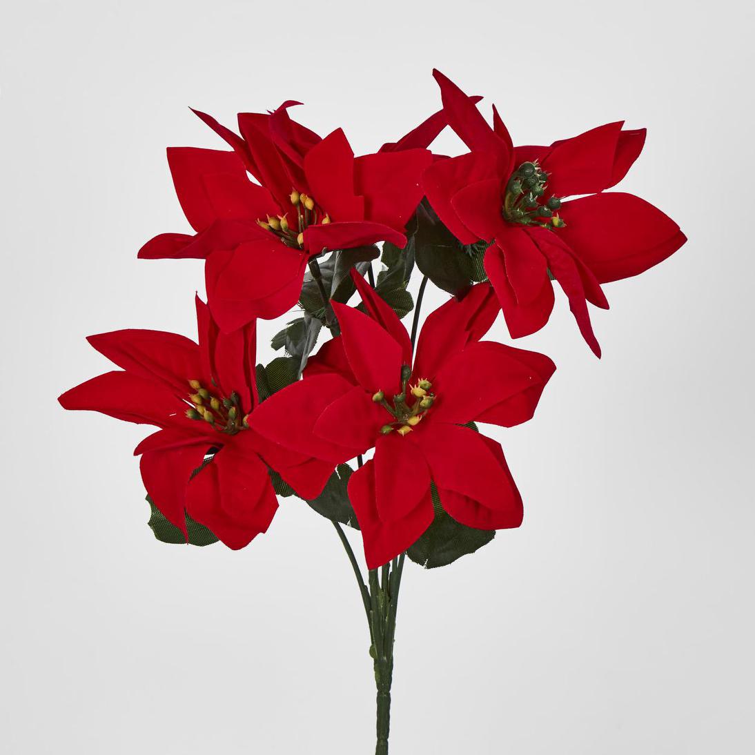 Poinsettia Bush Red Box of 60 30 pcs