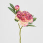 Peony Stem With Bud 48cm Burgundy 18 pcs