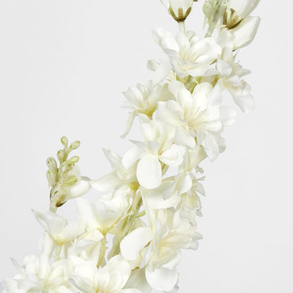 Delphinium 85cm White 6 pcs
