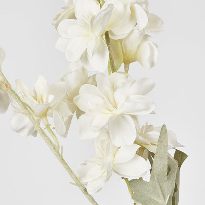 Delphinium 85cm White 6 pcs