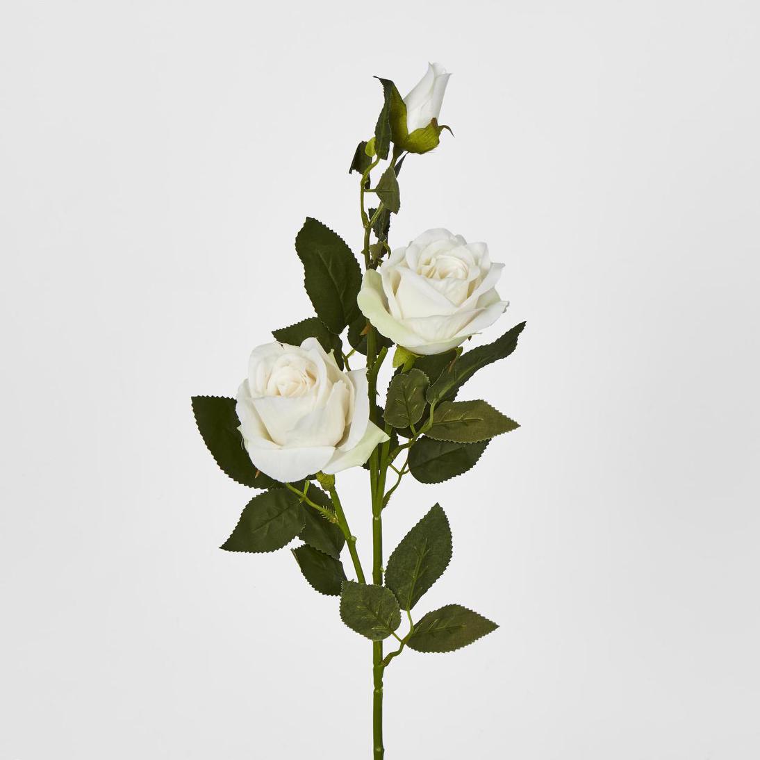 Rose Spray Cream 6 pcs
