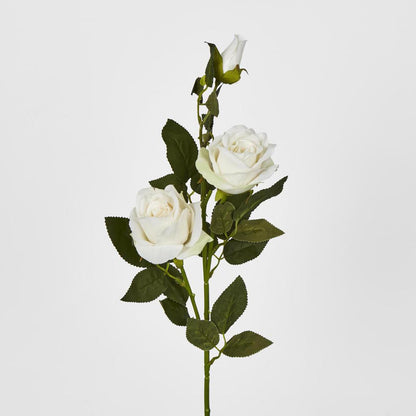 Rose Spray Cream 6 pcs