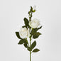 Rose Spray Cream 6 pcs