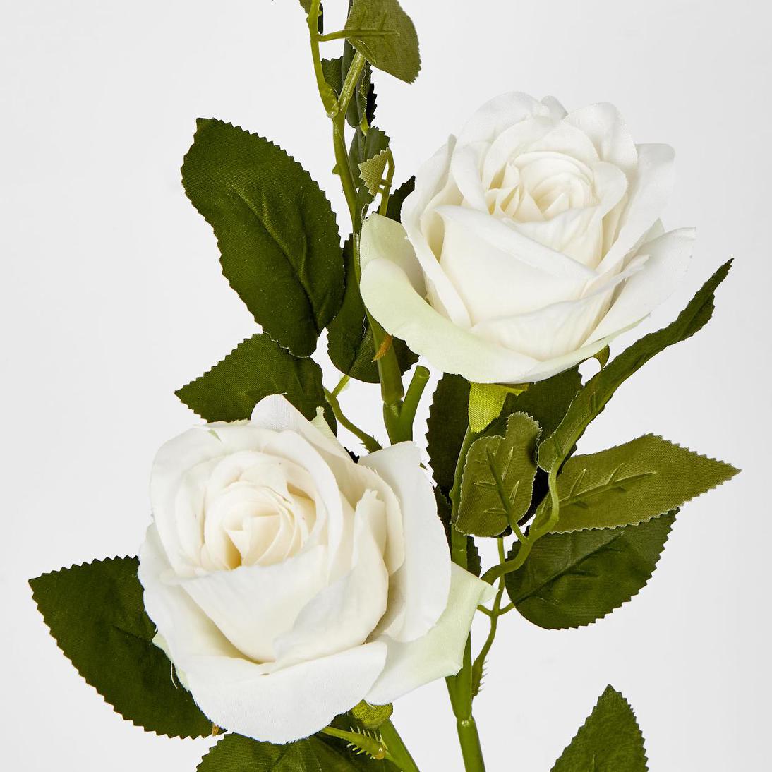 Rose Spray Cream 6 pcs