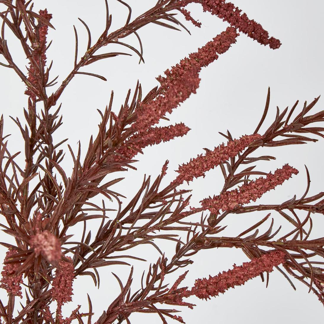 Amaranthus Spray Dark Pink 3 pcs