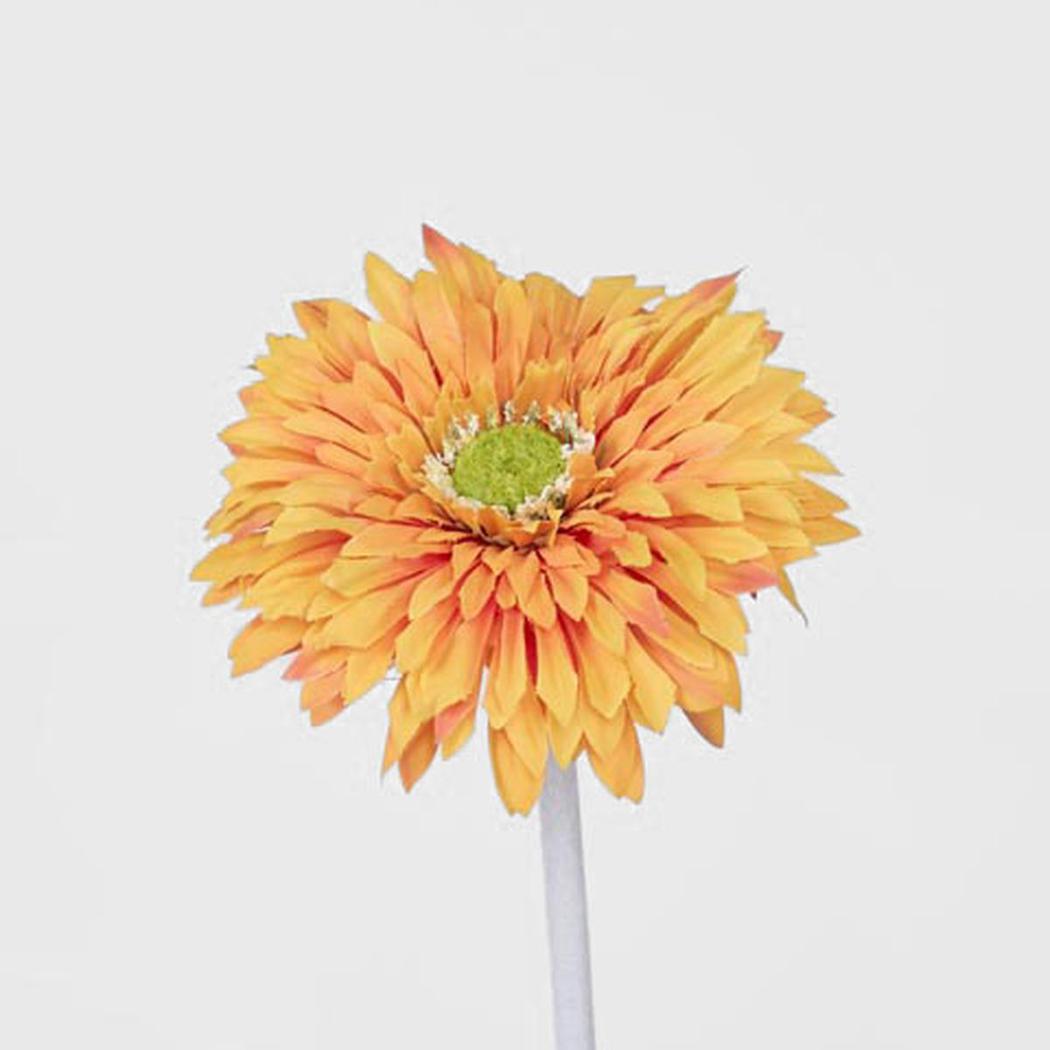 Gerbera Stem Orange 36 pcs