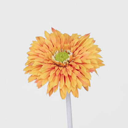 Gerbera Stem Orange 36 pcs
