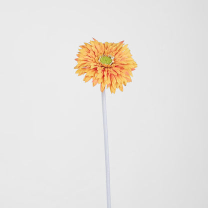 Gerbera Stem Orange 36 pcs